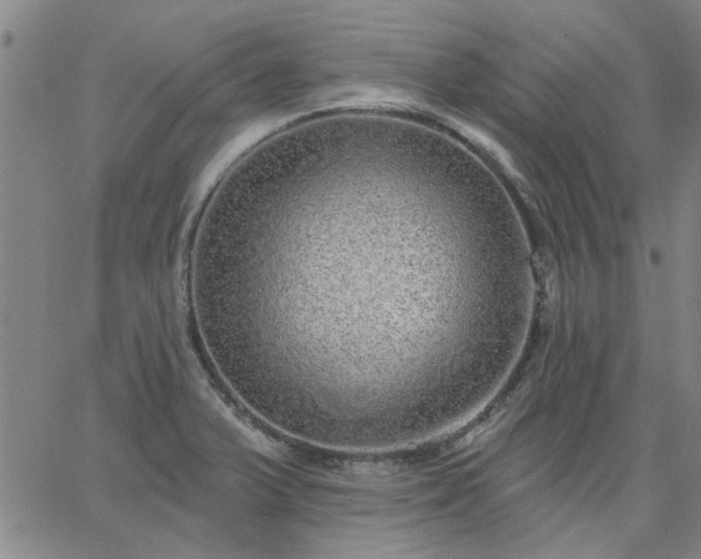 X0000063451375200601271528