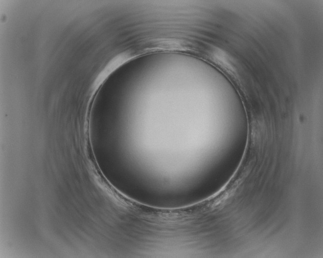 X0000063451378200601271528