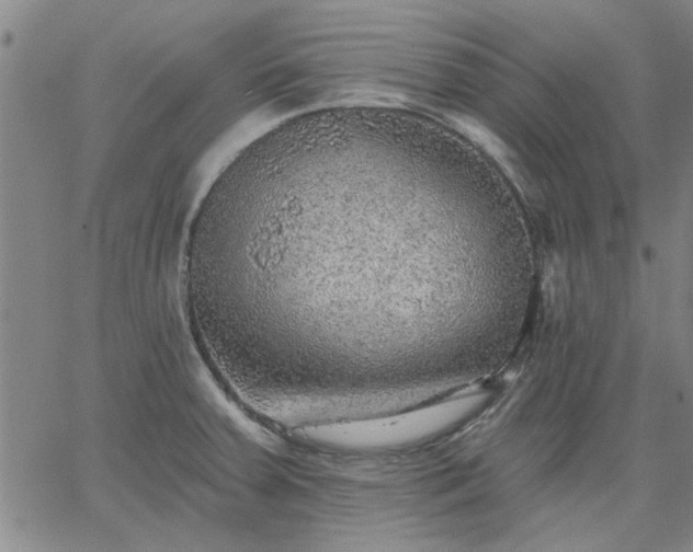 X0000063451379200601271528