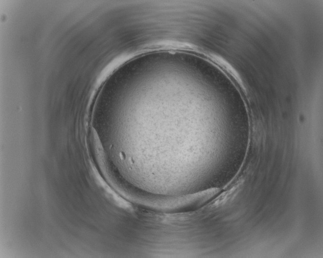 X0000063451381200601271528