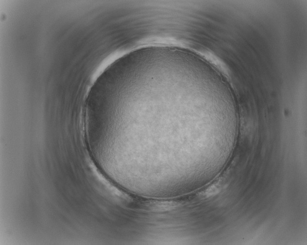 X0000063451382200601271528