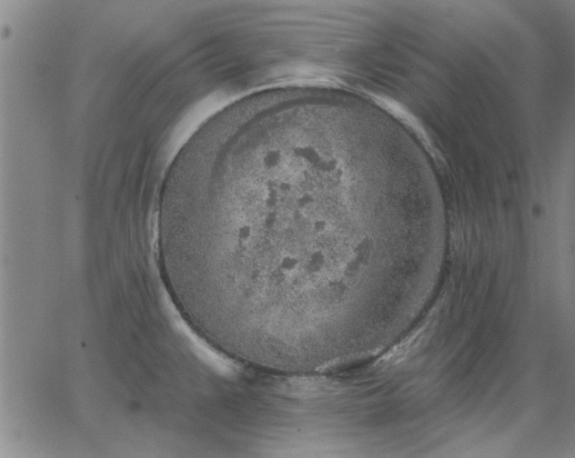 X0000063451383200601271528