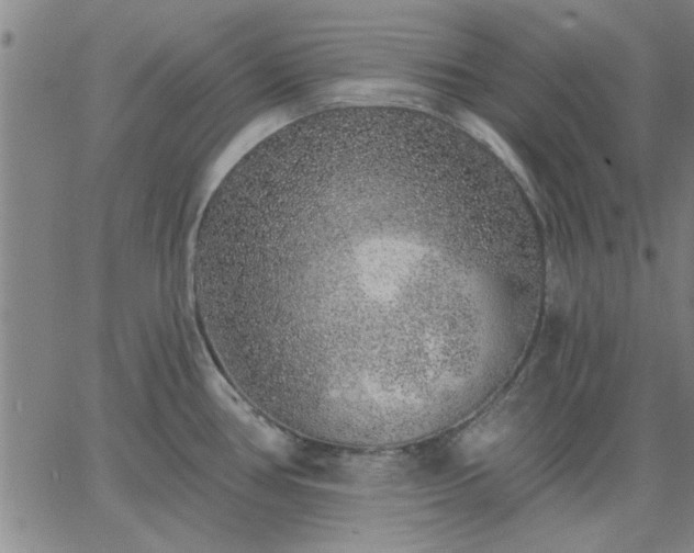 X0000063451386200601271528