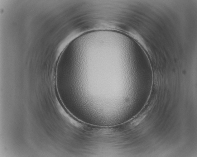 X0000063451387200601271528