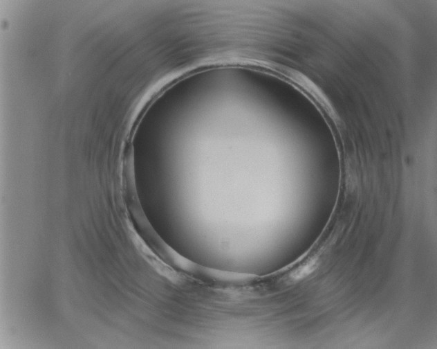 X0000063451388200601271528