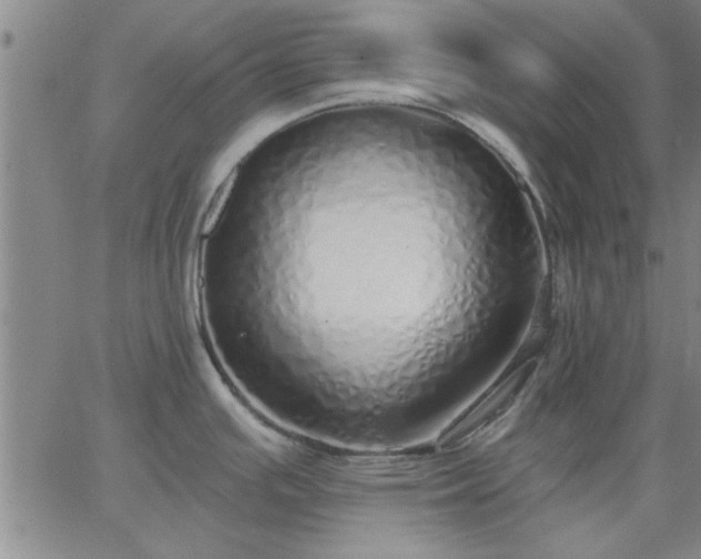 X0000063451391200601271528