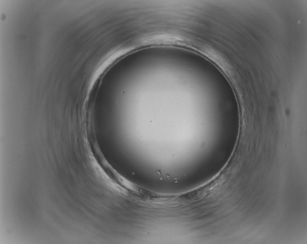 X0000063451392200601271528