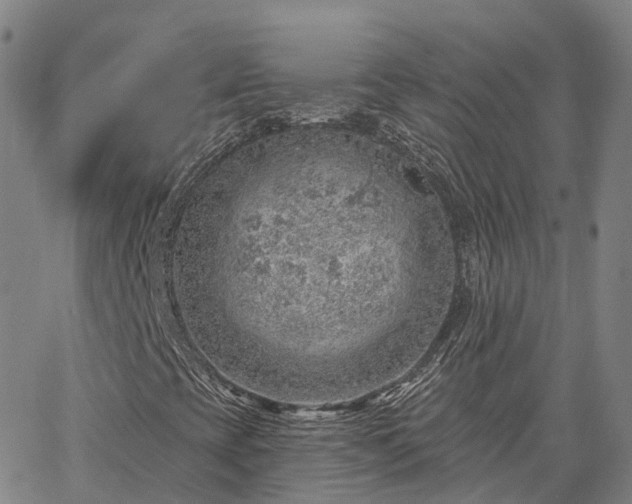 X0000063451393200601271527