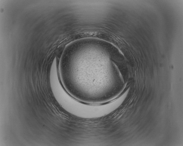 X0000063451394200601271527