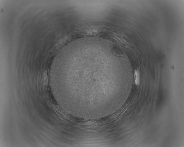 X0000063451395200601271527