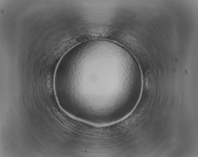 X0000063451396200601271527