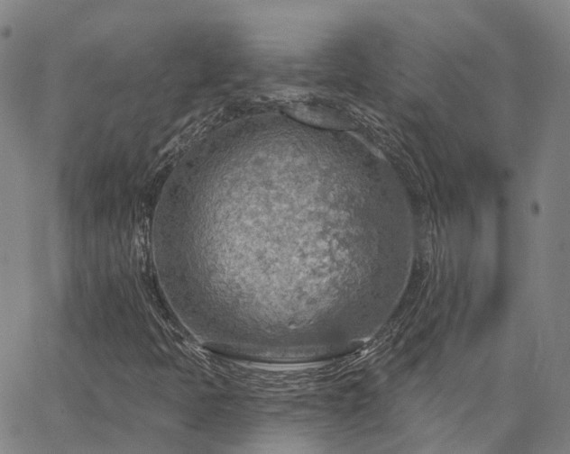 X0000063451397200601271527