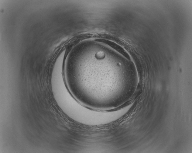 X0000063451398200601271527