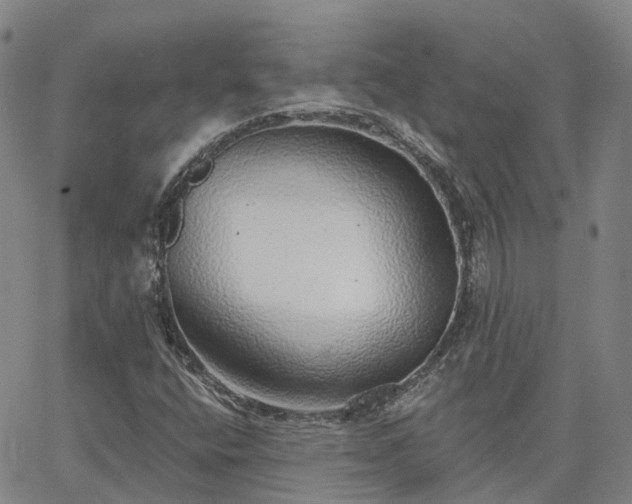 X0000063451400200601271527