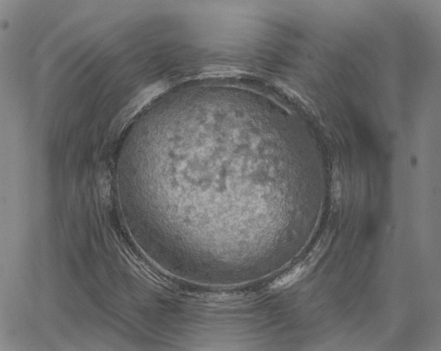 X0000063451401200601271527