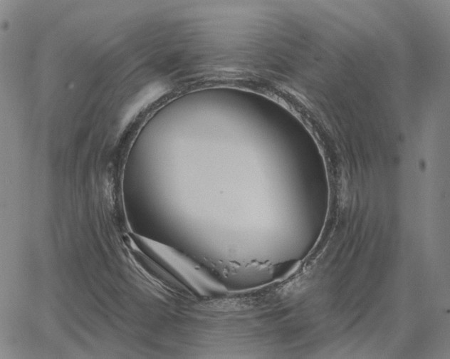 X0000063451402200601271527