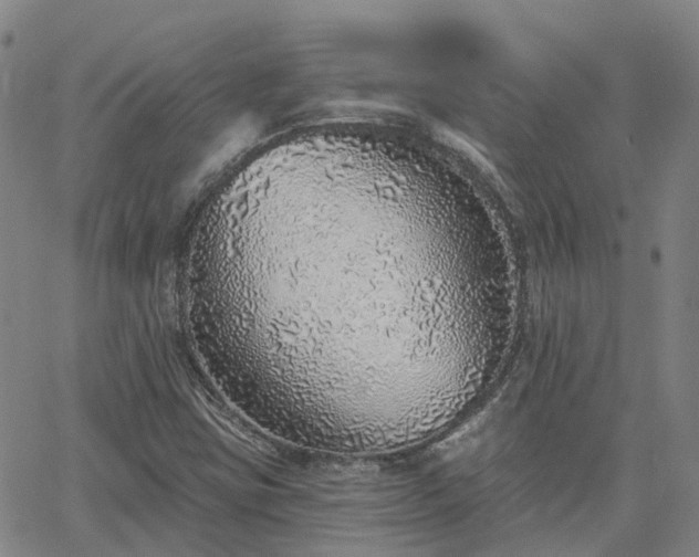 X0000063451403200601271527