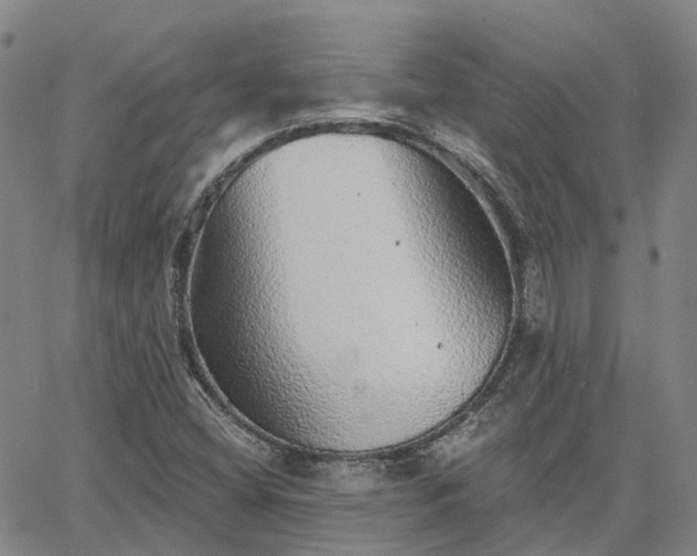 X0000063451404200601271527