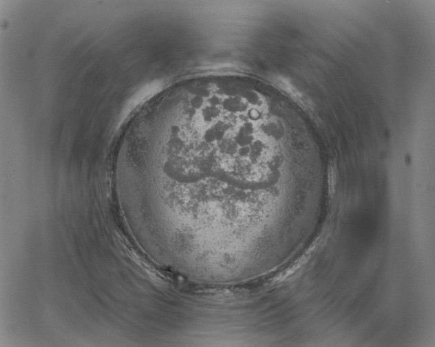 X0000063451405200601271527