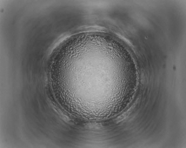 X0000063451407200601271527