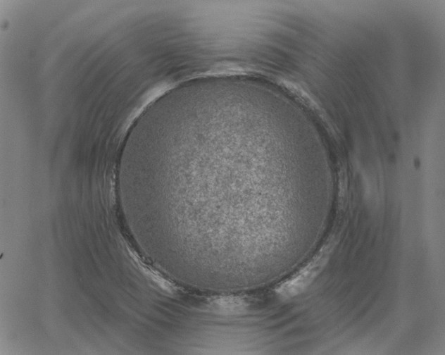 X0000063451409200601271527