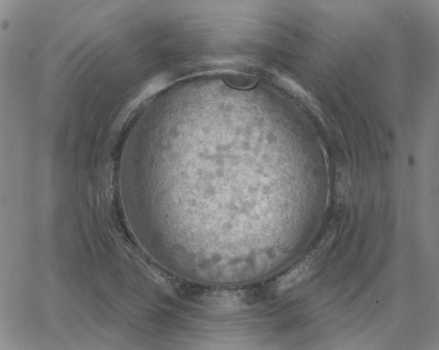 X0000063451411200601271527