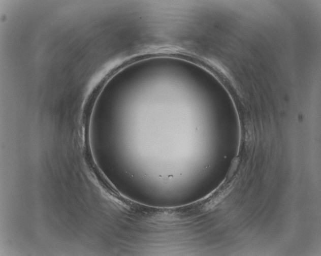 X0000063451414200601271527