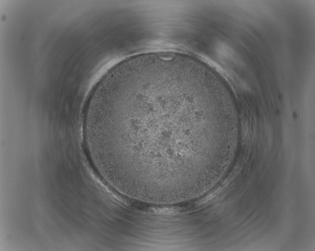 X0000063451415200601271528