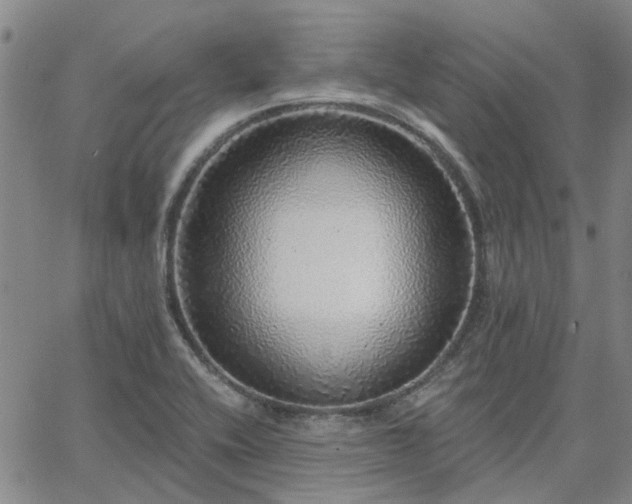 X0000063451416200601271528