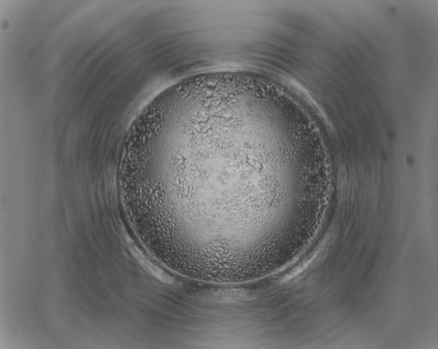 X0000063451417200601271528