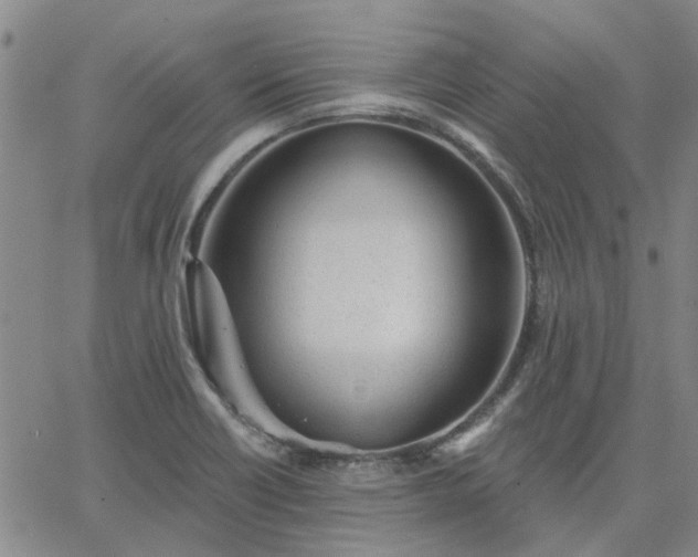 X0000063451418200601271528