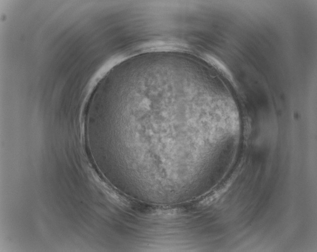 X0000063451419200601271528