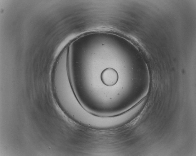 X0000063451422200601271528