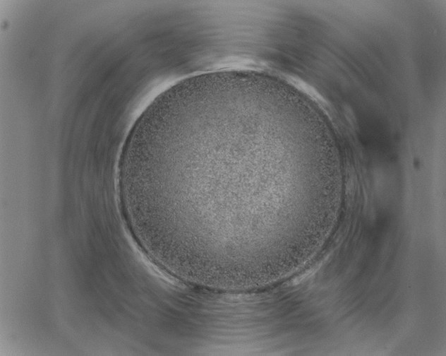 X0000063451423200601271528