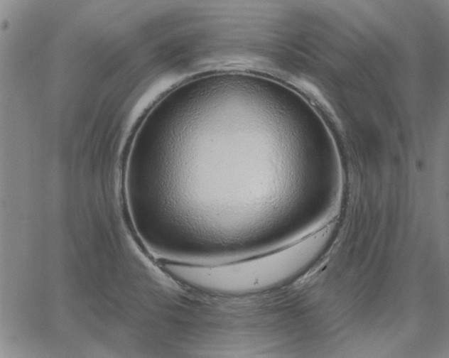 X0000063451424200601271528