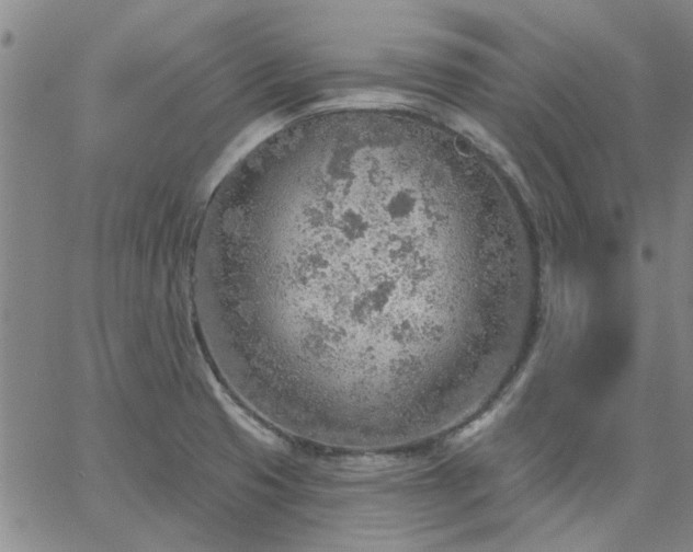 X0000063451425200601271528