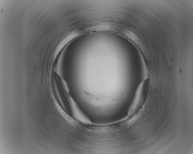 X0000063451426200601271528