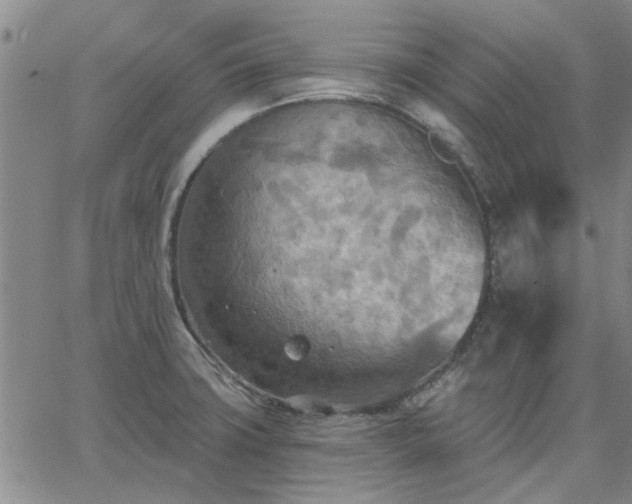 X0000063451427200601271528