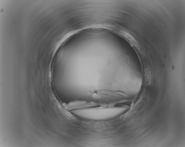 X0000063451428200601271528