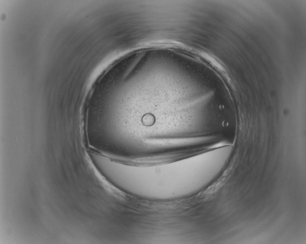 X0000063451430200601271528