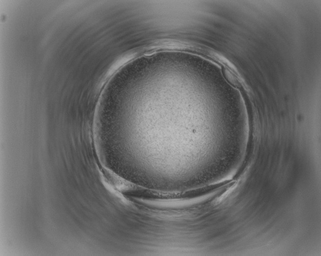 X0000063451433200601271528