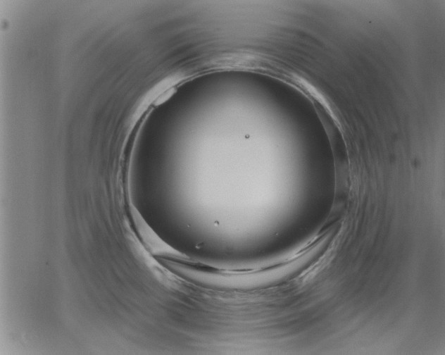 X0000063451434200601271528