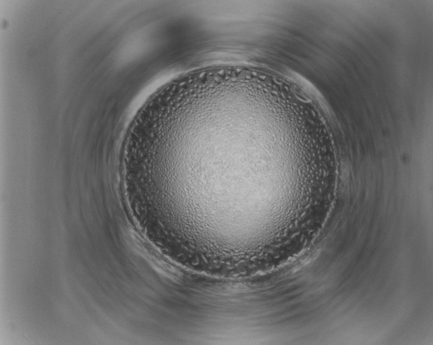 X0000063451435200601271528