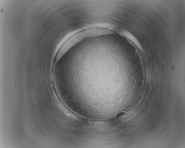 X0000063451436200601271528