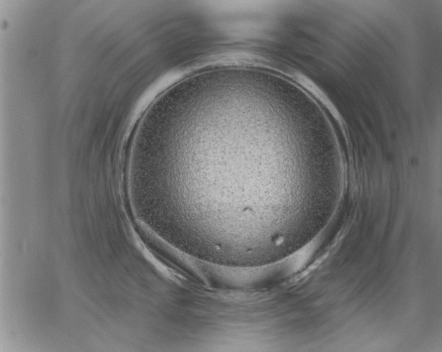 X0000063451437200601271528