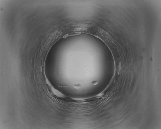 X0000063451441200601271527