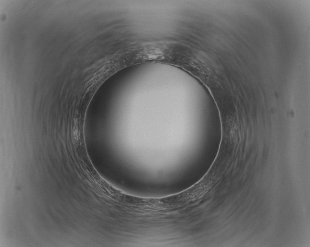 X0000063451442200601271527