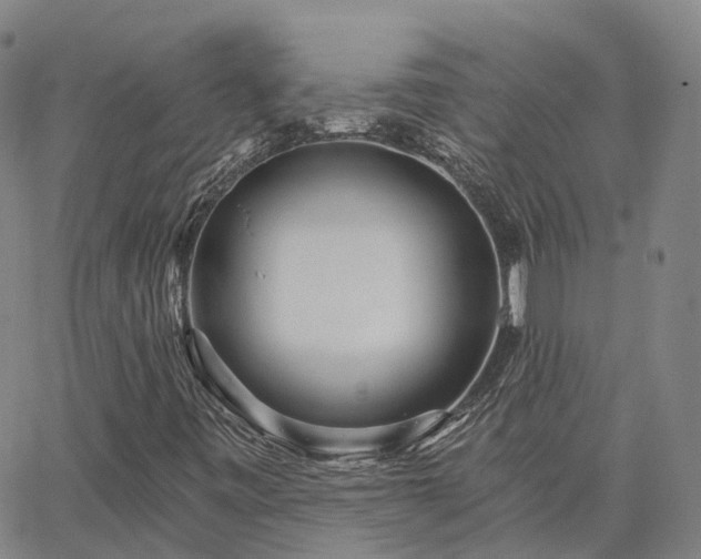 X0000063451443200601271527