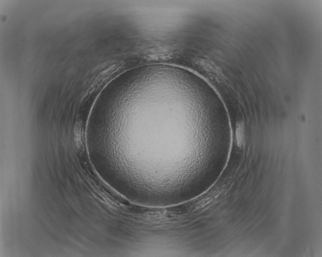 X0000063451444200601271527