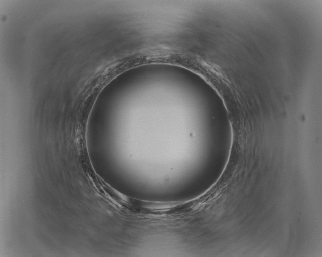 X0000063451445200601271527